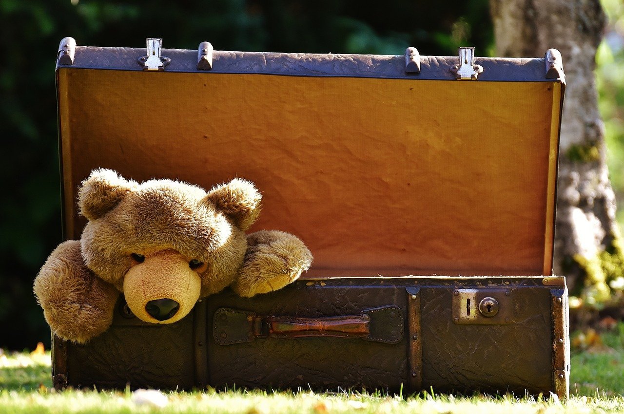 Inheritance rules explained | Will Planing Solutions